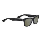 FOYT, Shiny Black Transparent Layer-Mineral Polarized 555nm Cat 3 to 3, hi-res image number null